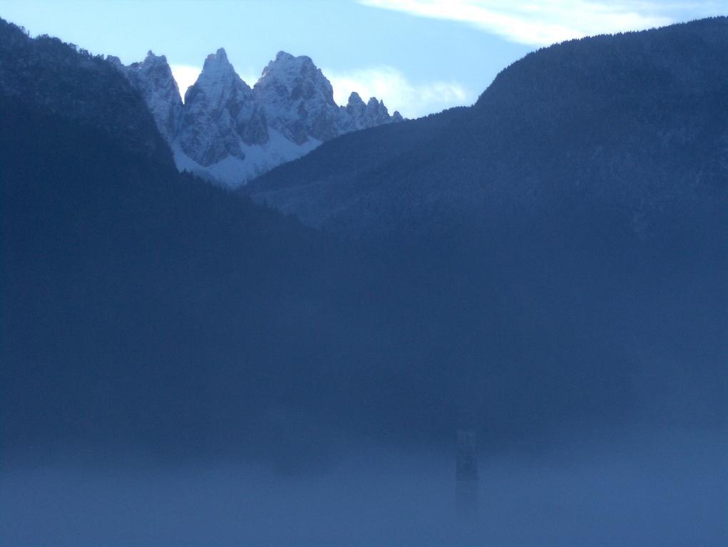 Fra Rose E Mughi Bed & Breakfast Domegge di Cadore Exterior photo