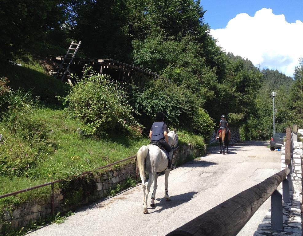 Fra Rose E Mughi Bed & Breakfast Domegge di Cadore Exterior photo